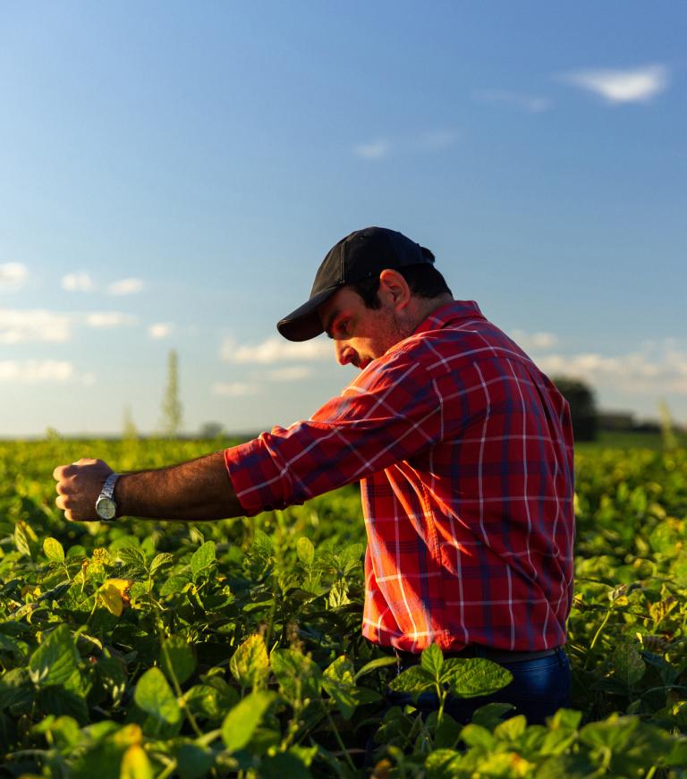 Planting change for a better tomorrow